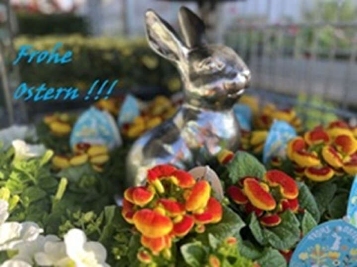 Frohe Ostern !!
